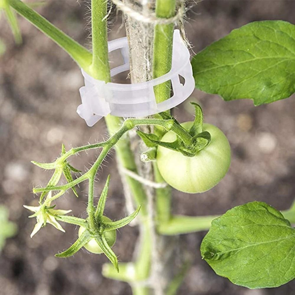 Last Day 49% OFF - Plant Support Clips