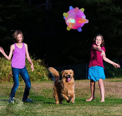 💥Hot Sale 45% OFF💥BUY 1 GET 1 FREE🔥Jumping activation ball for dogs and cats