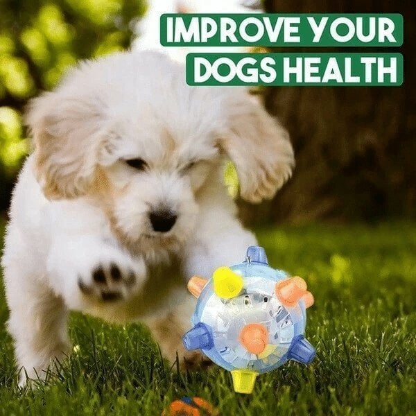 💥Hot Sale 45% OFF💥BUY 1 GET 1 FREE🔥Jumping activation ball for dogs and cats