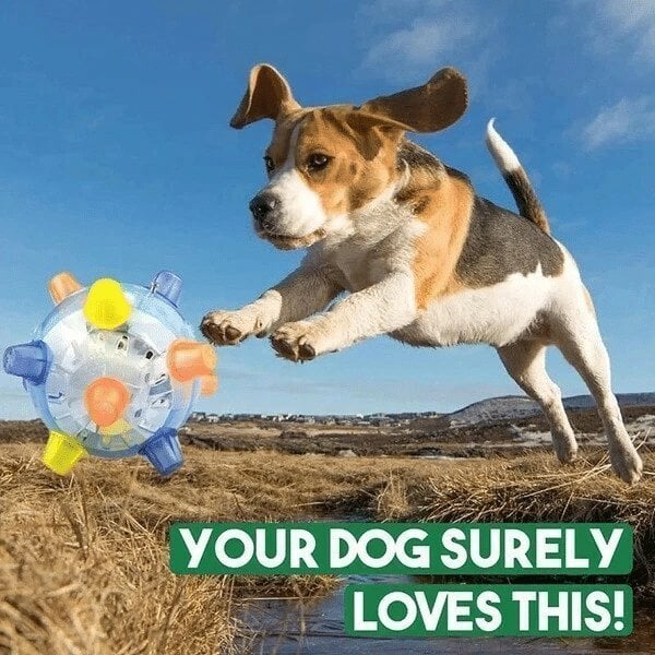 💥Hot Sale 45% OFF💥BUY 1 GET 1 FREE🔥Jumping activation ball for dogs and cats