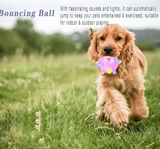 💥Hot Sale 45% OFF💥BUY 1 GET 1 FREE🔥Jumping activation ball for dogs and cats
