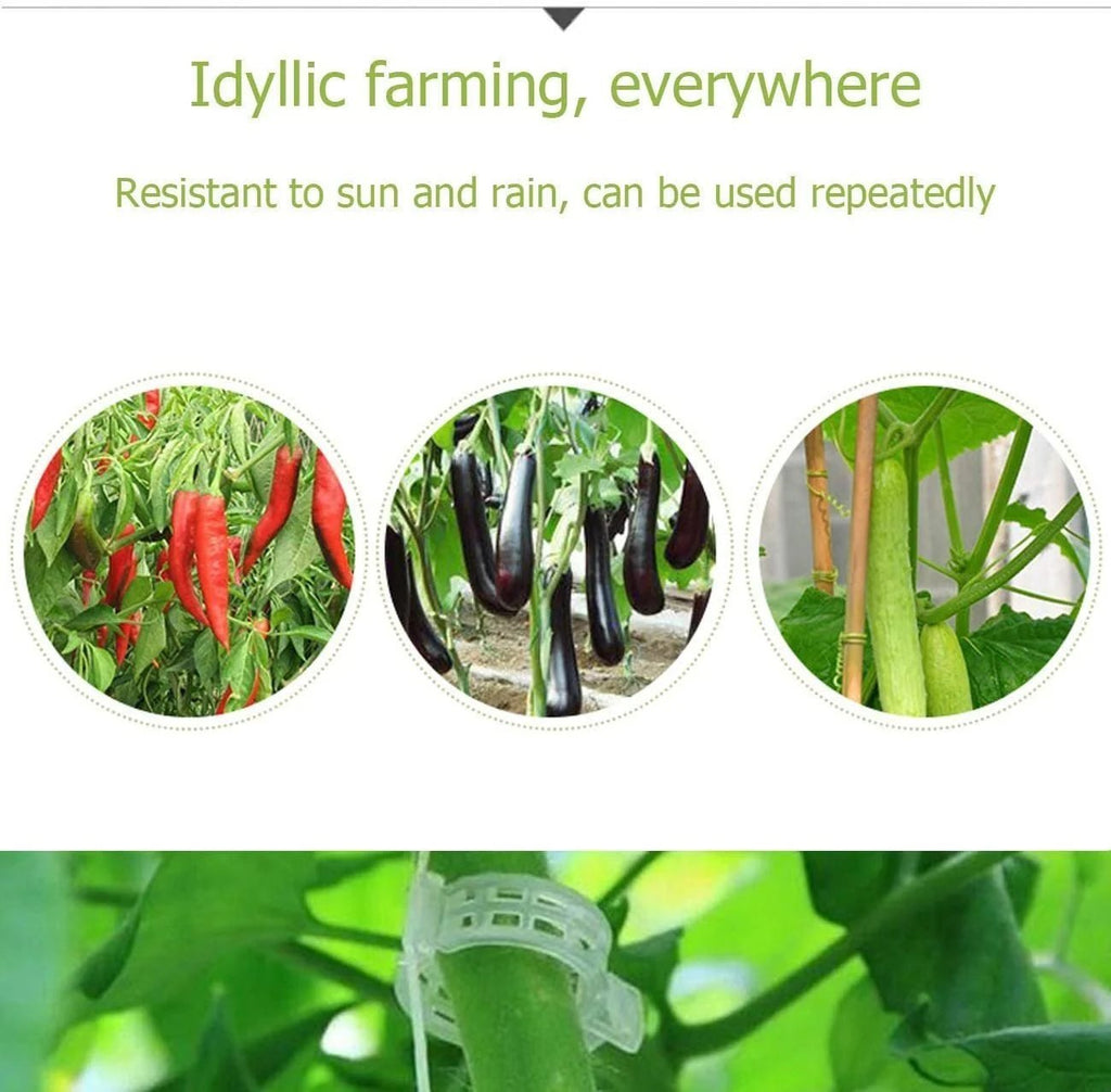 Last Day 49% OFF - Plant Support Clips