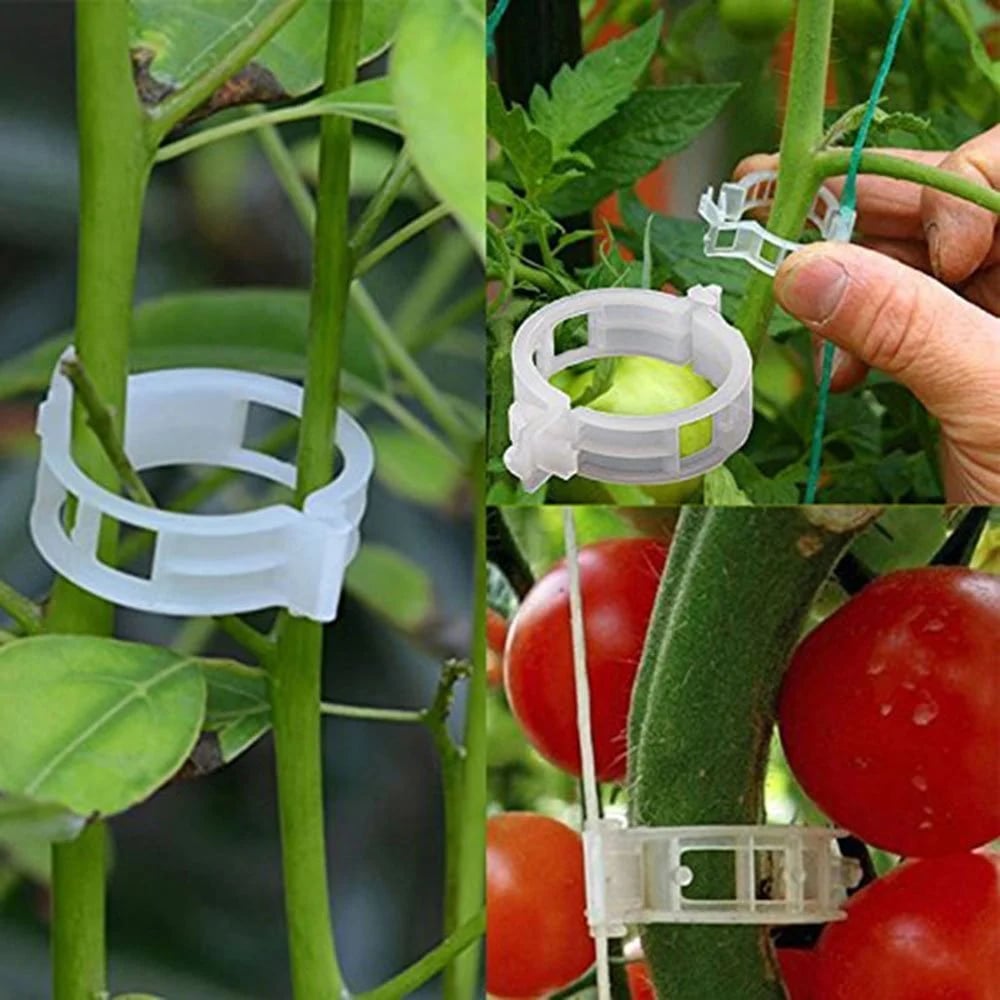 Last Day 49% OFF - Plant Support Clips