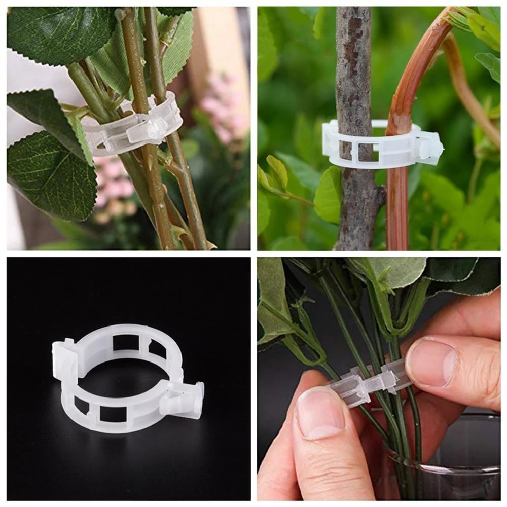 Last Day 49% OFF - Plant Support Clips