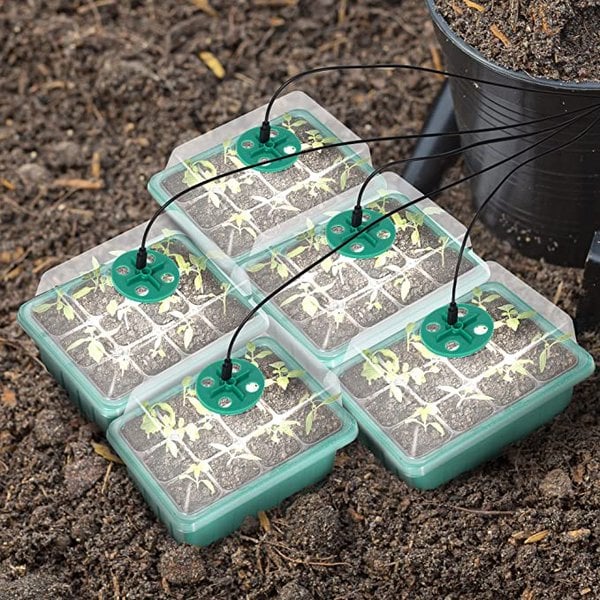 Last Day Sale 48% OFF --🌱Seed Starter Trays with Grow Light