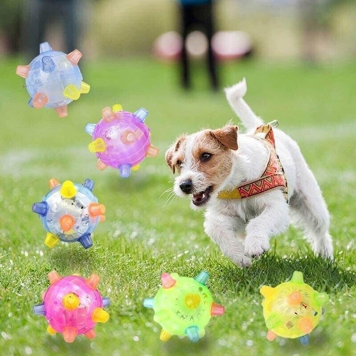 💥Hot Sale 45% OFF💥BUY 1 GET 1 FREE🔥Jumping activation ball for dogs and cats