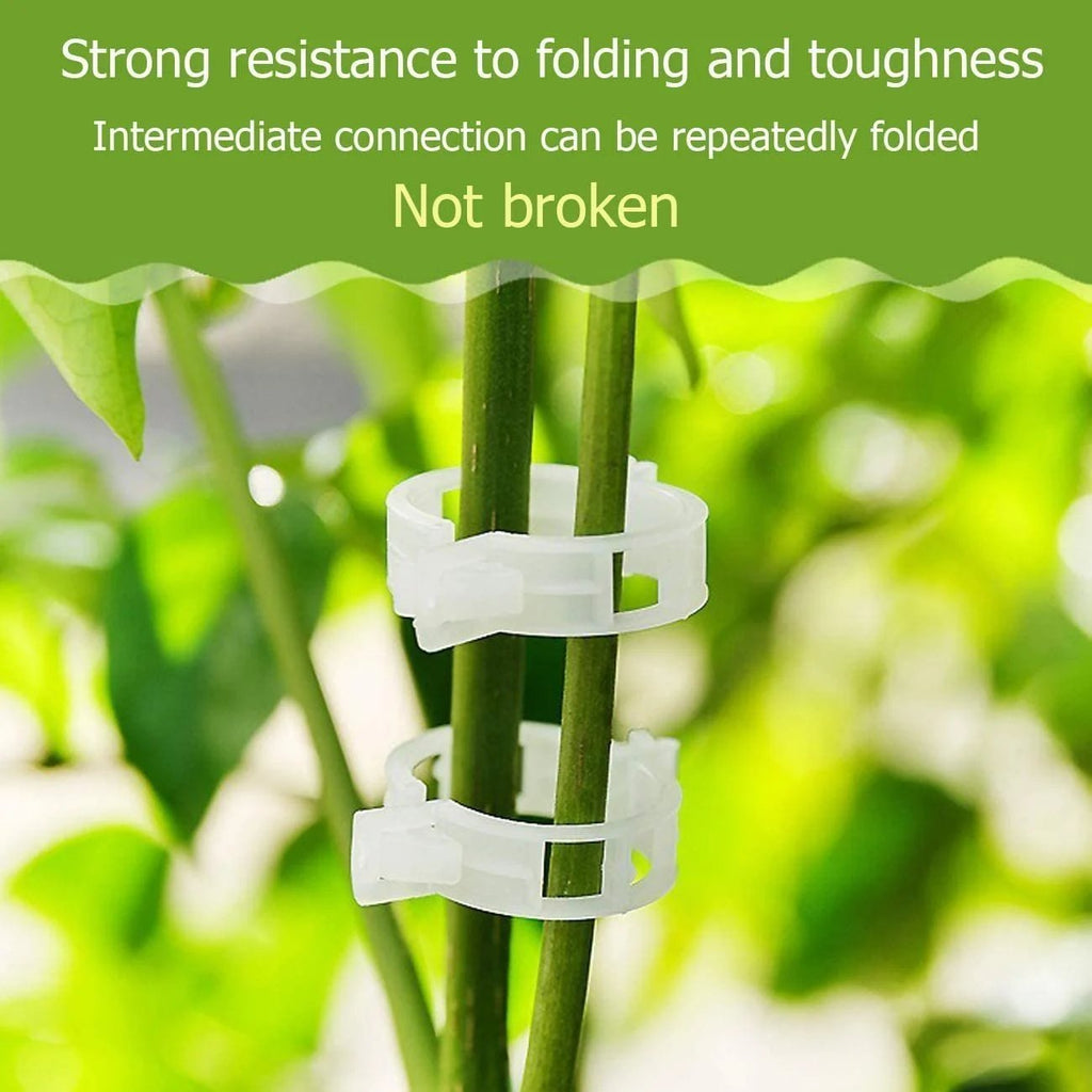 Last Day 49% OFF - Plant Support Clips
